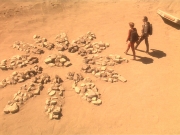 Filename=extant_StarTrek_DS9_4x05-Indiscretion_2004.jpg
Filesize=249KiB
Dimensions=1200x900
Date added=Aug 16, 2017 extant_StarTrek_DS9_4x05-Indiscretion_2004.jpg