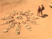 Filename=extant_StarTrek_DS9_4x05-Indiscretion_2005.jpg
Filesize=240KiB
Dimensions=1200x900
Date added=Aug 16, 2017 extant_StarTrek_DS9_4x05-Indiscretion_2005.jpg