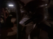 Filename=extant_StarTrek_DS9_4x05-Indiscretion_3517.jpg
Filesize=161KiB
Dimensions=1200x900
Date added=Aug 16, 2017 extant_StarTrek_DS9_4x05-Indiscretion_3517.jpg