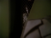 Filename=extant_StarTrek_DS9_4x05-Indiscretion_3642.jpg
Filesize=133KiB
Dimensions=1200x900
Date added=Aug 16, 2017 extant_StarTrek_DS9_4x05-Indiscretion_3642.jpg