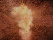 extant_StarTrek_DS9_4x07-StarshipDown_1752.jpg
