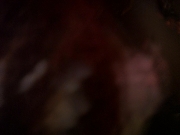 Filename=extant_StarTrek_DS9_5x01-ApocalypseRising_03489.jpg
Filesize=158KiB
Dimensions=1200x900
Date added=Dec 12, 2019 extant_StarTrek_DS9_5x01-ApocalypseRising_03489.jpg