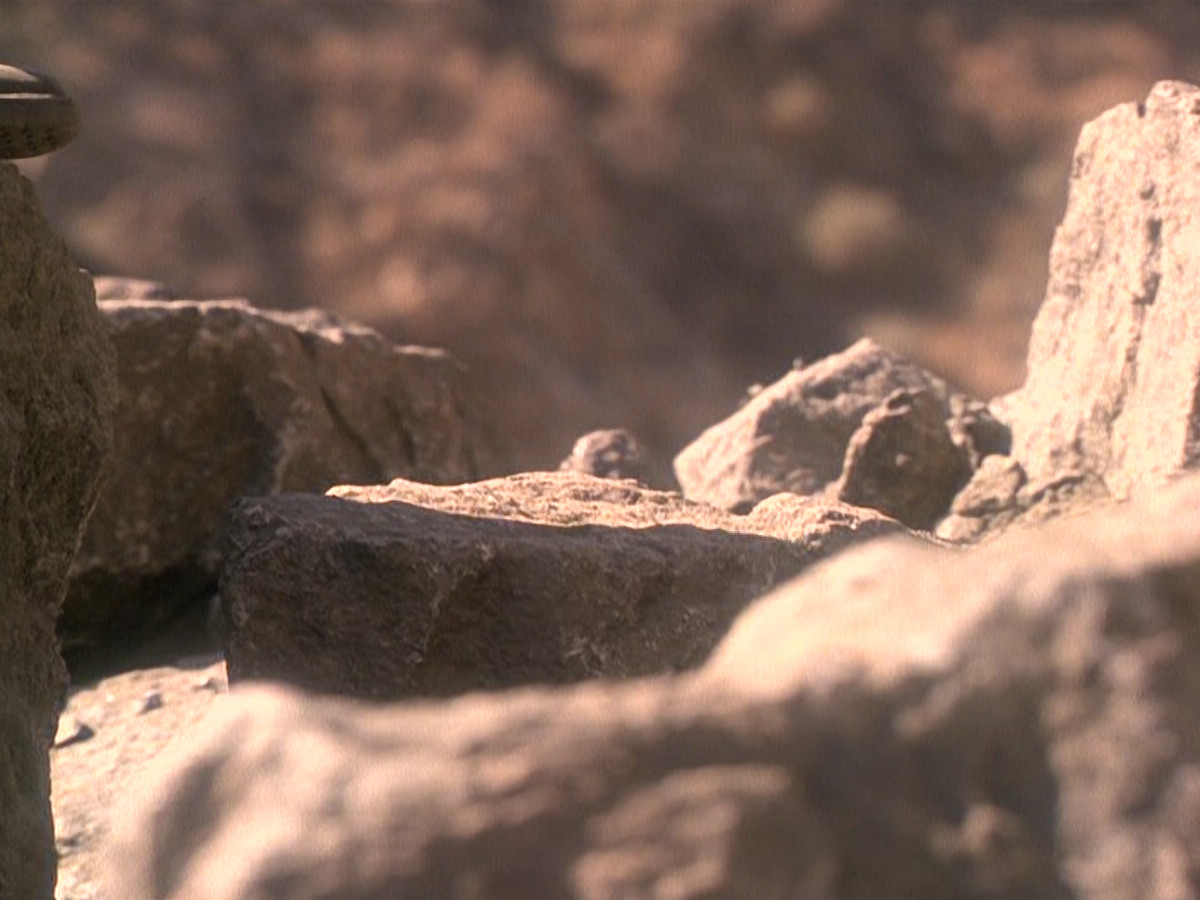 extant_StarTrek_DS9_5x02-TheShip_00013.jpg