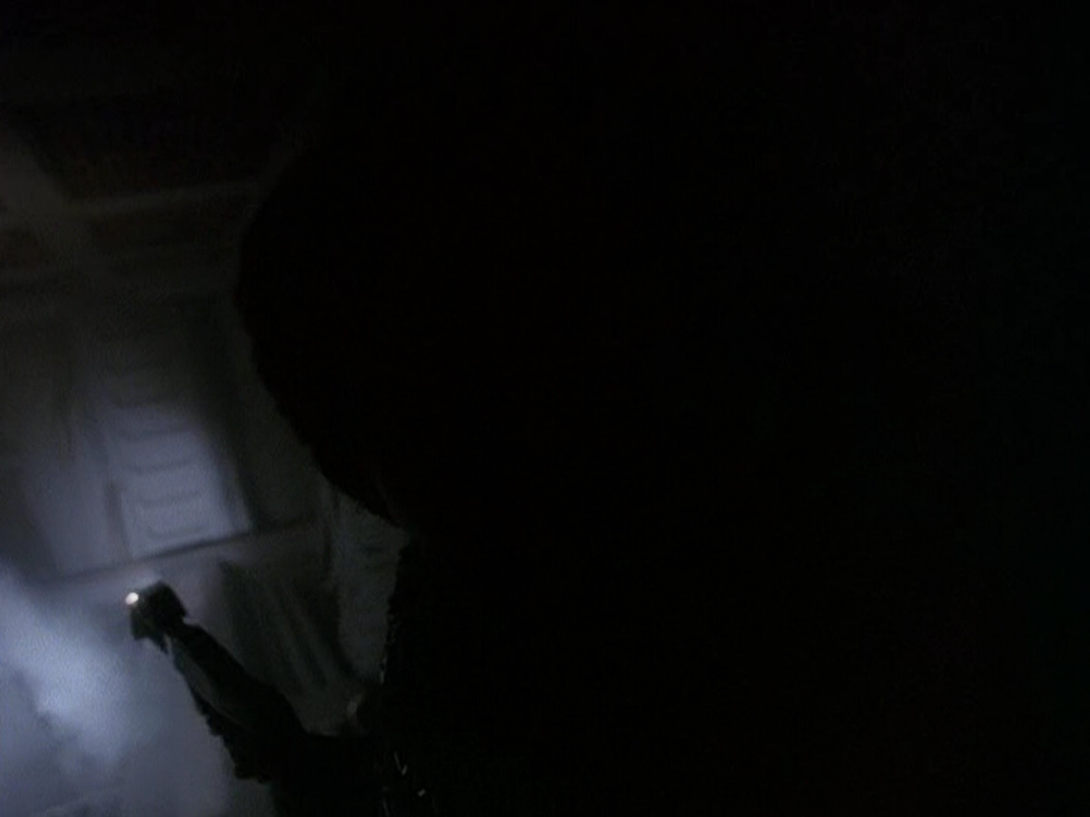 extant_StarTrek_DS9_5x02-TheShip_00500.jpg