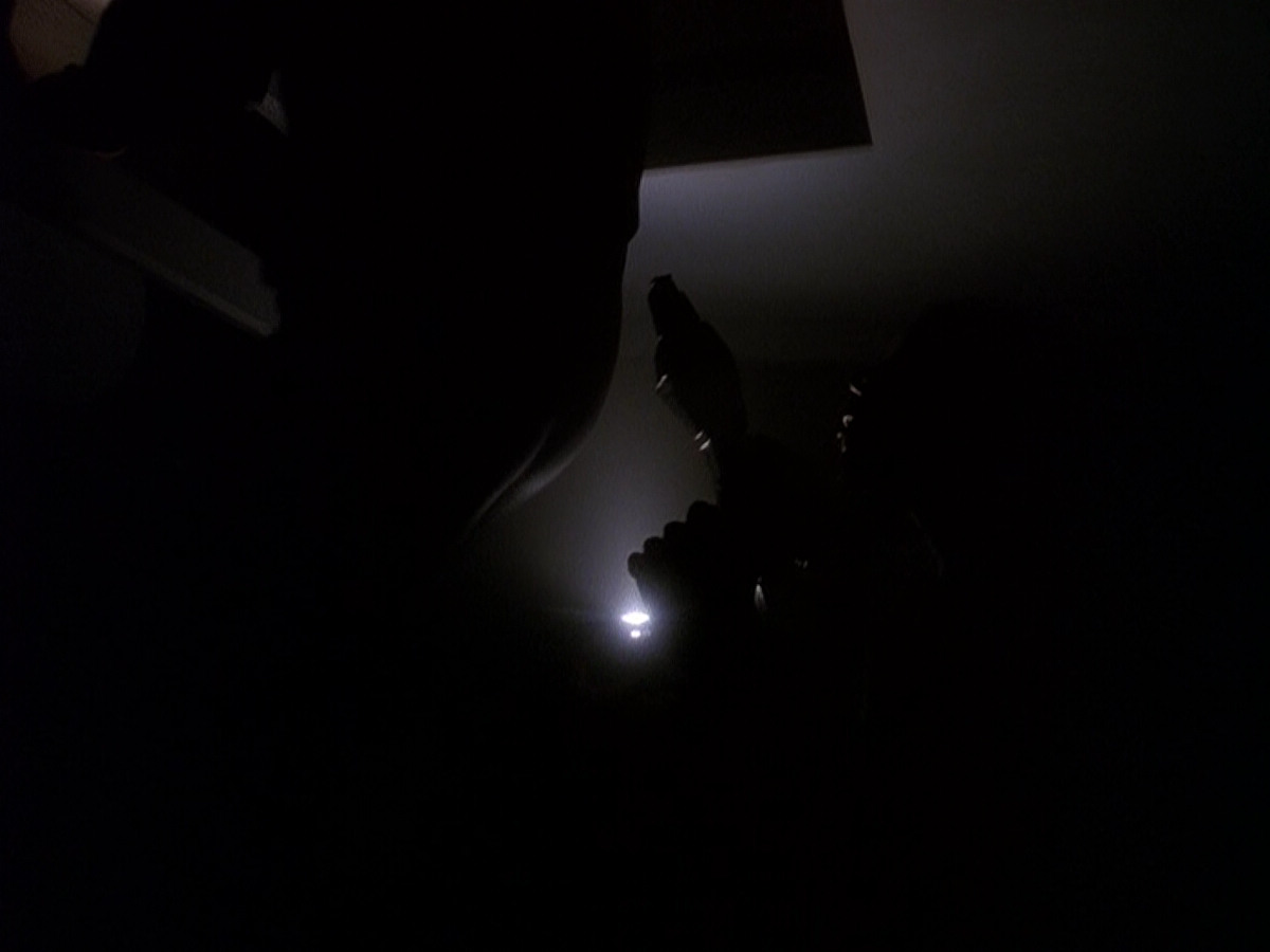 extant_StarTrek_DS9_5x02-TheShip_00585.jpg