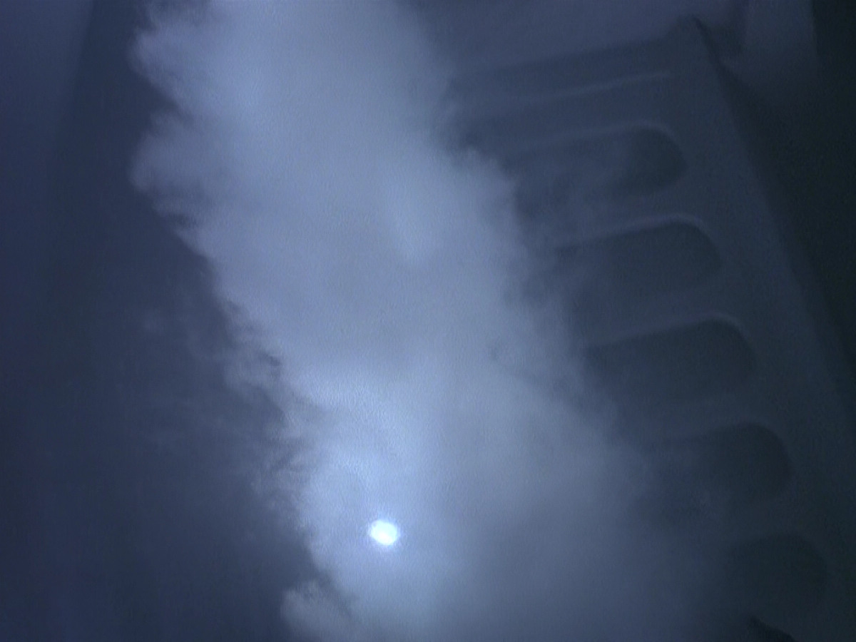 extant_StarTrek_DS9_5x02-TheShip_00613.jpg