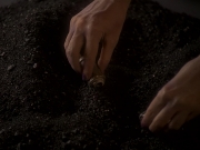 extant_StarTrek_DS9_5x02-TheShip_03290.jpg