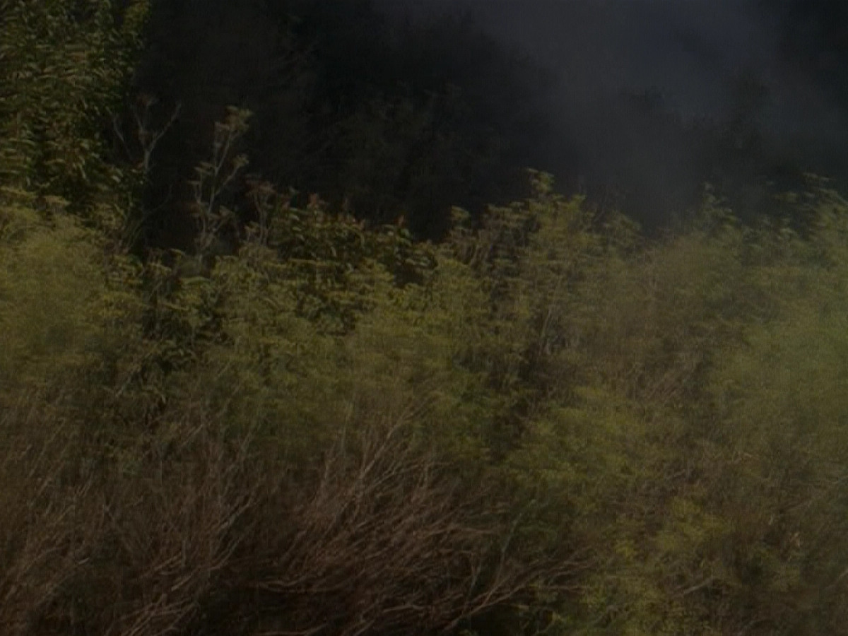 extant_StarTrek_DS9_5x04-NorTheBattleToTheStrong_02010.jpg