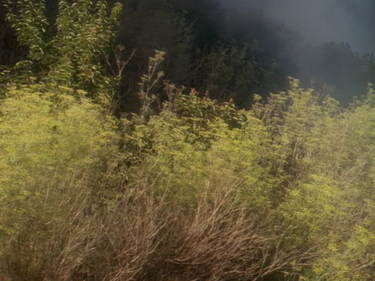 extant_StarTrek_DS9_5x04-NorTheBattleToTheStrong_02012.jpg