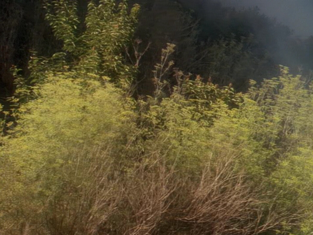 extant_StarTrek_DS9_5x04-NorTheBattleToTheStrong_02013.jpg