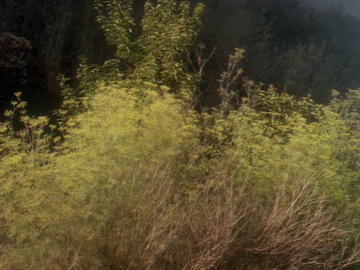 extant_StarTrek_DS9_5x04-NorTheBattleToTheStrong_02014.jpg