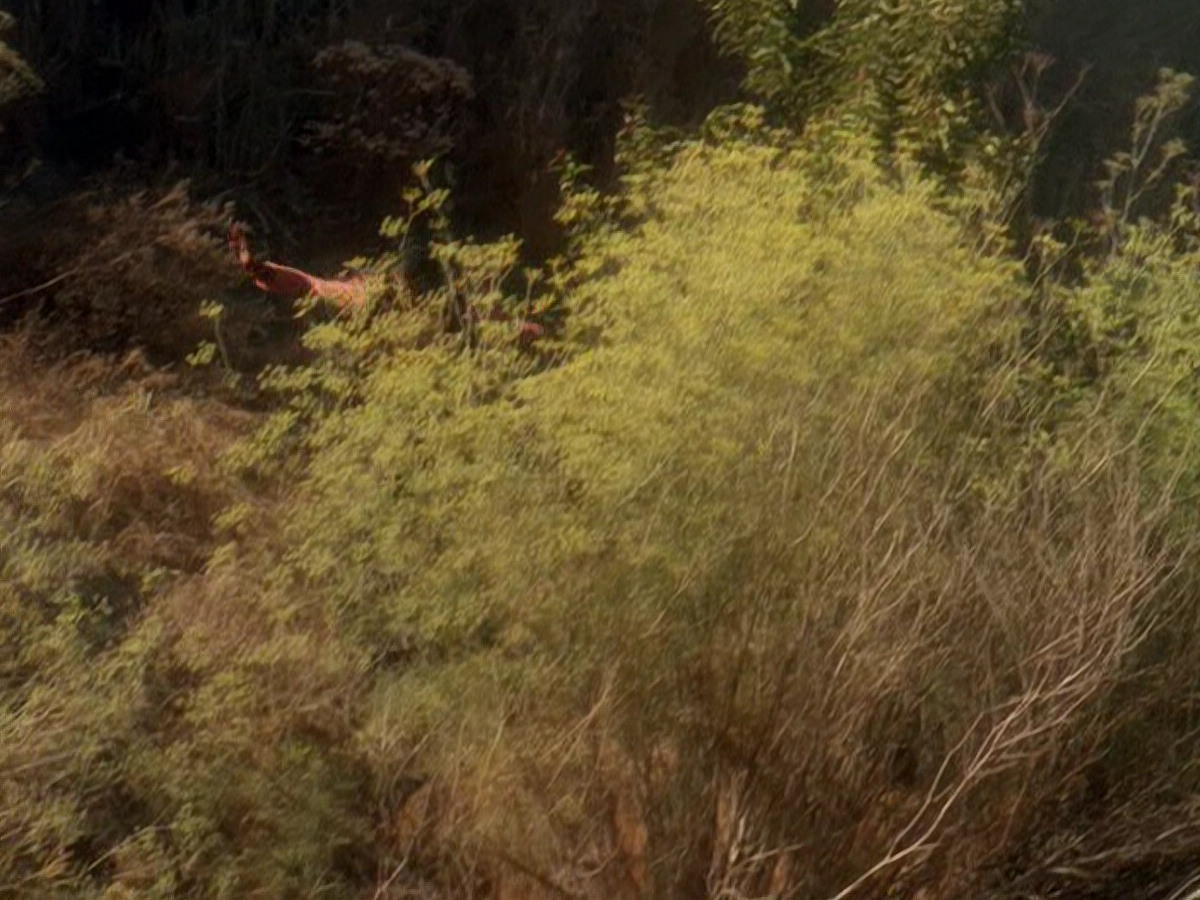 extant_StarTrek_DS9_5x04-NorTheBattleToTheStrong_02016.jpg