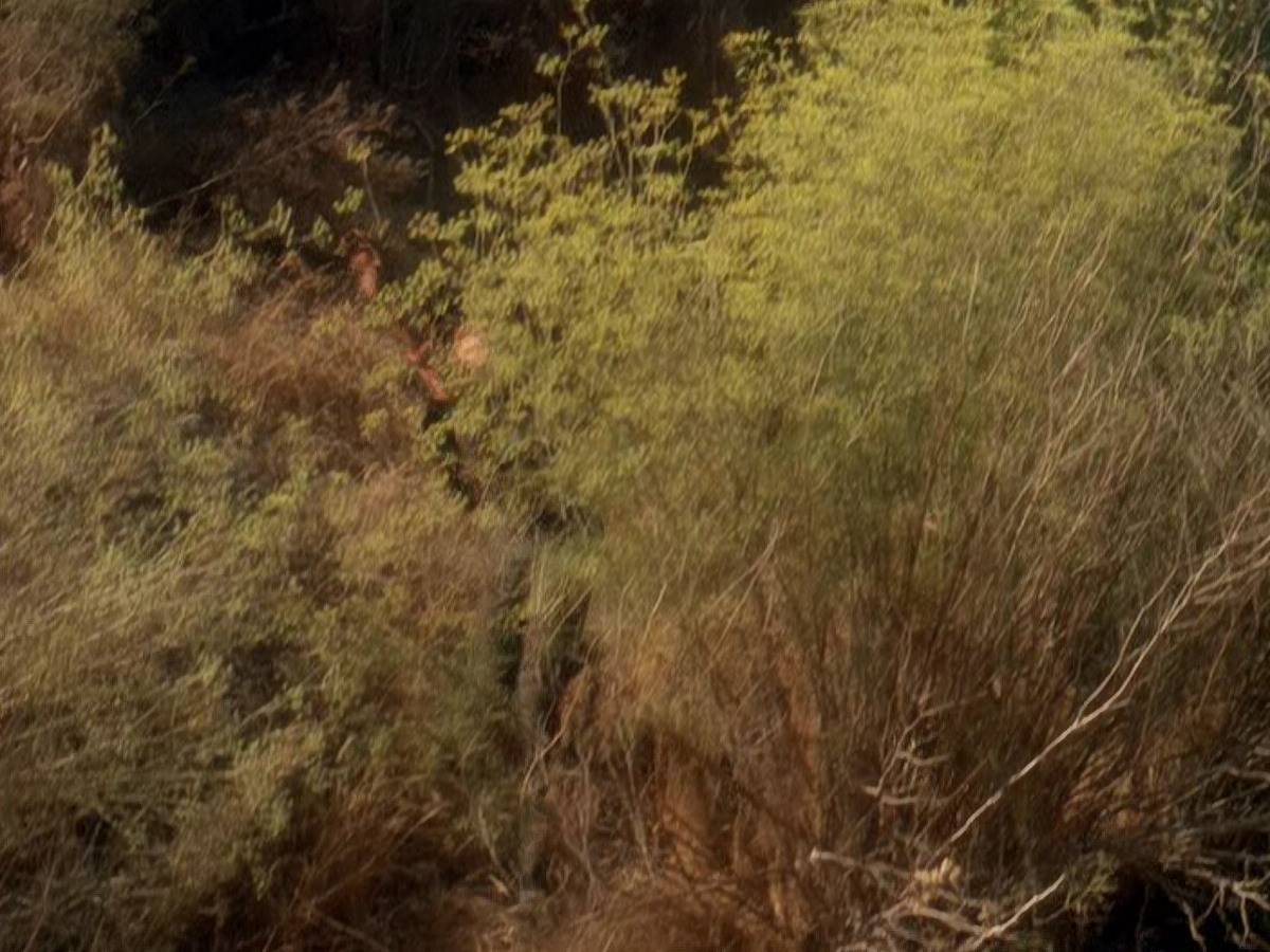 extant_StarTrek_DS9_5x04-NorTheBattleToTheStrong_02017.jpg