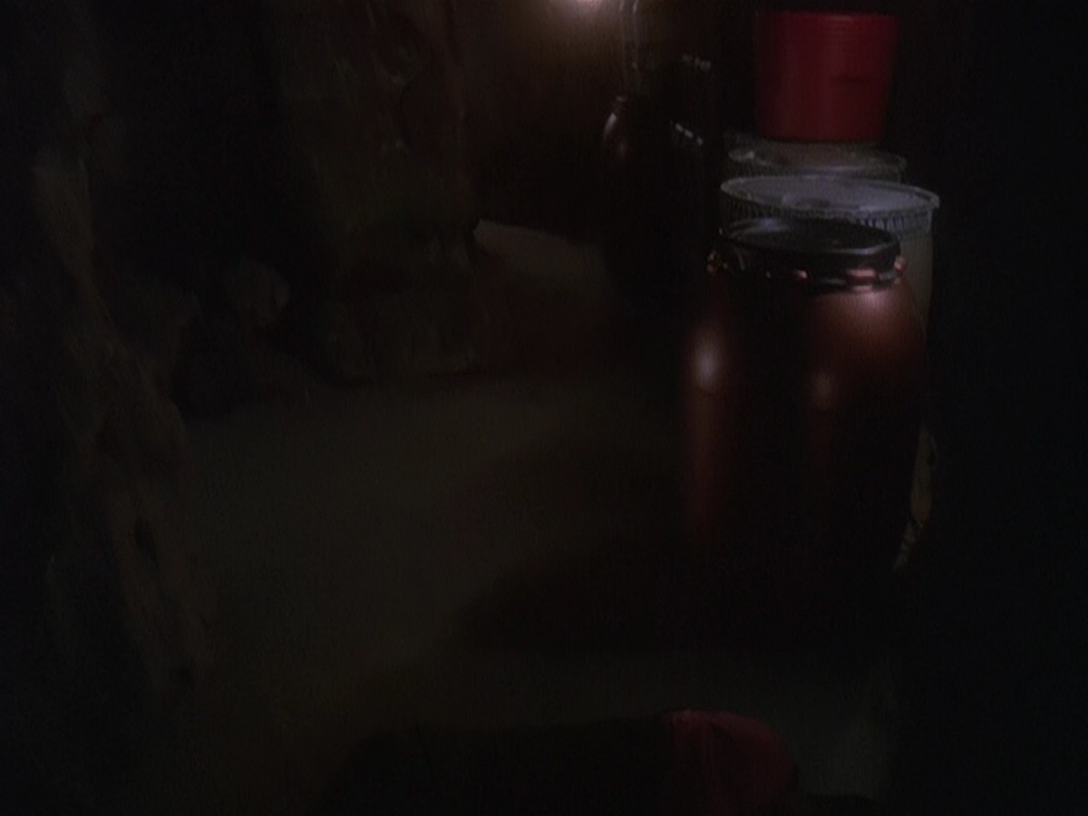 extant_StarTrek_DS9_5x04-NorTheBattleToTheStrong_03388.jpg