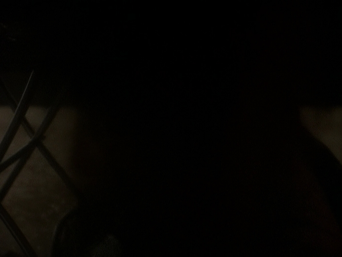 extant_StarTrek_DS9_5x04-NorTheBattleToTheStrong_03503.jpg