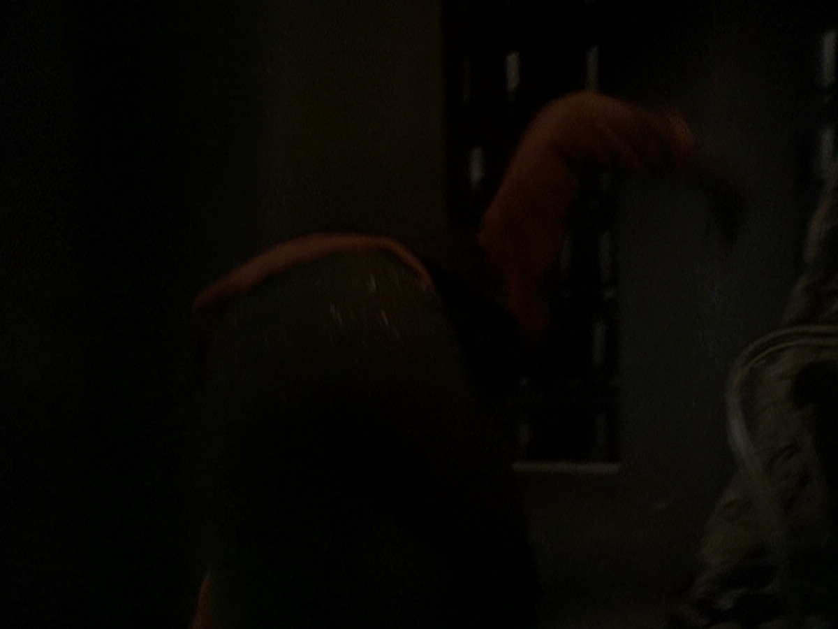 extant_StarTrek_DS9_5x04-NorTheBattleToTheStrong_03507.jpg