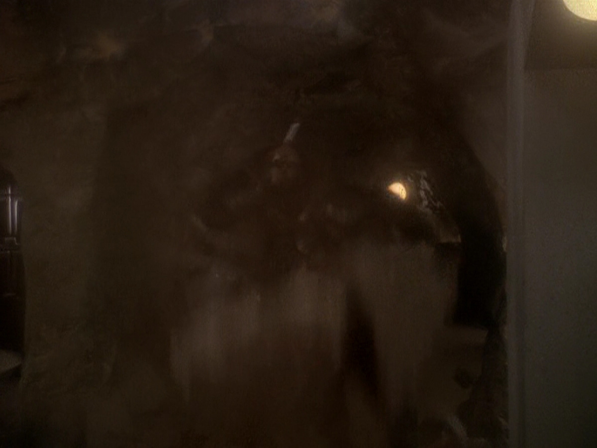 extant_StarTrek_DS9_5x04-NorTheBattleToTheStrong_03574.jpg