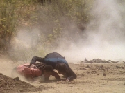 Filename=extant_StarTrek_DS9_5x04-NorTheBattleToTheStrong_01935.jpg
Filesize=258KiB
Dimensions=1200x900
Date added=Dec 12, 2019 extant_StarTrek_DS9_5x04-NorTheBattleToTheStrong_01935.jpg
