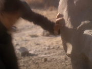 Filename=extant_StarTrek_DS9_5x04-NorTheBattleToTheStrong_01945.jpg
Filesize=193KiB
Dimensions=1200x900
Date added=Dec 12, 2019 extant_StarTrek_DS9_5x04-NorTheBattleToTheStrong_01945.jpg