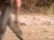 Filename=extant_StarTrek_DS9_5x04-NorTheBattleToTheStrong_01947.jpg
Filesize=229KiB
Dimensions=1200x900
Date added=Dec 12, 2019 extant_StarTrek_DS9_5x04-NorTheBattleToTheStrong_01947.jpg