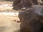 Filename=extant_StarTrek_DS9_5x04-NorTheBattleToTheStrong_01974.jpg
Filesize=212KiB
Dimensions=1200x900
Date added=Dec 12, 2019 extant_StarTrek_DS9_5x04-NorTheBattleToTheStrong_01974.jpg