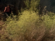 Filename=extant_StarTrek_DS9_5x04-NorTheBattleToTheStrong_02015.jpg
Filesize=252KiB
Dimensions=1200x900
Date added=Dec 12, 2019 extant_StarTrek_DS9_5x04-NorTheBattleToTheStrong_02015.jpg