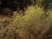 Filename=extant_StarTrek_DS9_5x04-NorTheBattleToTheStrong_02016.jpg
Filesize=272KiB
Dimensions=1200x900
Date added=Dec 12, 2019 extant_StarTrek_DS9_5x04-NorTheBattleToTheStrong_02016.jpg