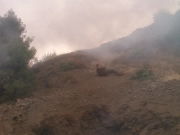 extant_StarTrek_DS9_5x04-NorTheBattleToTheStrong_02067.jpg