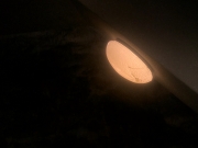 Filename=extant_StarTrek_DS9_5x04-NorTheBattleToTheStrong_03408.jpg
Filesize=115KiB
Dimensions=1200x900
Date added=Dec 12, 2019 extant_StarTrek_DS9_5x04-NorTheBattleToTheStrong_03408.jpg