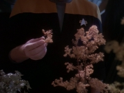 extant_StarTrek_DS9_5x05-TheAssignment_00208.jpg