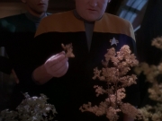 extant_StarTrek_DS9_5x05-TheAssignment_00209.jpg