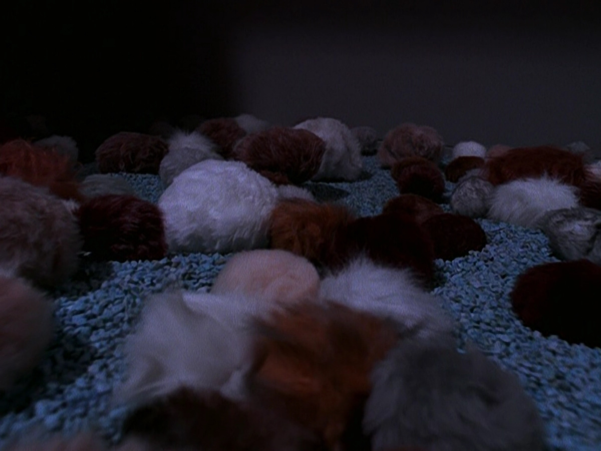 extant_StarTrek_DS9_5x06-TrialsAndTribble-ations_03123.jpg