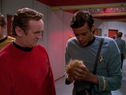Filename=extant_StarTrek_DS9_5x06-TrialsAndTribble-ations_02672.jpg
Filesize=204KiB
Dimensions=1200x900
Date added=Dec 12, 2019 extant_StarTrek_DS9_5x06-TrialsAndTribble-ations_02672.jpg