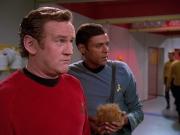 extant_StarTrek_DS9_5x06-TrialsAndTribble-ations_02693.jpg