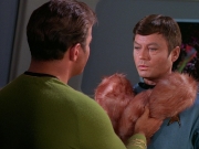 Filename=extant_StarTrek_DS9_5x06-TrialsAndTribble-ations_03028.jpg
Filesize=206KiB
Dimensions=1200x900
Date added=Dec 12, 2019 extant_StarTrek_DS9_5x06-TrialsAndTribble-ations_03028.jpg