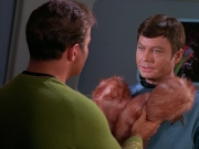 Filename=extant_StarTrek_DS9_5x06-TrialsAndTribble-ations_03031.jpg
Filesize=209KiB
Dimensions=1200x900
Date added=Dec 12, 2019 extant_StarTrek_DS9_5x06-TrialsAndTribble-ations_03031.jpg
