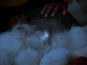 Filename=extant_StarTrek_DS9_5x06-TrialsAndTribble-ations_03470.jpg
Filesize=142KiB
Dimensions=1200x900
Date added=Dec 12, 2019 extant_StarTrek_DS9_5x06-TrialsAndTribble-ations_03470.jpg