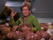 Filename=extant_StarTrek_DS9_5x06-TrialsAndTribble-ations_03501.jpg
Filesize=245KiB
Dimensions=1200x900
Date added=Dec 12, 2019 extant_StarTrek_DS9_5x06-TrialsAndTribble-ations_03501.jpg