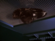 Filename=extant_StarTrek_DS9_5x08-ThingsPast_02873.jpg
Filesize=208KiB
Dimensions=1200x900
Date added=Dec 13, 2019 extant_StarTrek_DS9_5x08-ThingsPast_02873.jpg