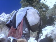 Filename=extant_StarTrek_DS9_5x09-TheAscent_03360.jpg
Filesize=271KiB
Dimensions=1200x900
Date added=Dec 13, 2019 extant_StarTrek_DS9_5x09-TheAscent_03360.jpg