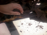 Filename=extant_StarTrek_DS9_5x11-TheDarknessAndTheLight_01034.jpg
Filesize=219KiB
Dimensions=1200x900
Date added=Dec 13, 2019 extant_StarTrek_DS9_5x11-TheDarknessAndTheLight_01034.jpg