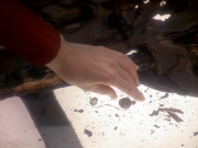 Filename=extant_StarTrek_DS9_5x11-TheDarknessAndTheLight_01035.jpg
Filesize=216KiB
Dimensions=1200x900
Date added=Dec 13, 2019 extant_StarTrek_DS9_5x11-TheDarknessAndTheLight_01035.jpg
