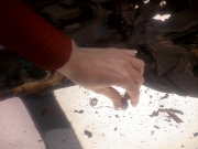 Filename=extant_StarTrek_DS9_5x11-TheDarknessAndTheLight_01036.jpg
Filesize=209KiB
Dimensions=1200x900
Date added=Dec 13, 2019 extant_StarTrek_DS9_5x11-TheDarknessAndTheLight_01036.jpg