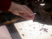 Filename=extant_StarTrek_DS9_5x11-TheDarknessAndTheLight_01037.jpg
Filesize=218KiB
Dimensions=1200x900
Date added=Dec 13, 2019 extant_StarTrek_DS9_5x11-TheDarknessAndTheLight_01037.jpg