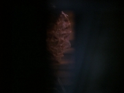 extant_StarTrek_DS9_5x11-TheDarknessAndTheLight_03429.jpg