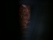 extant_StarTrek_DS9_5x11-TheDarknessAndTheLight_03436.jpg