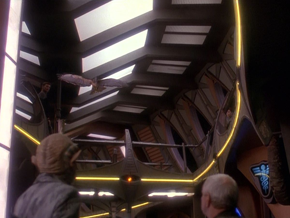 extant_StarTrek_DS9_5x12-TheBegotten_03499.jpg