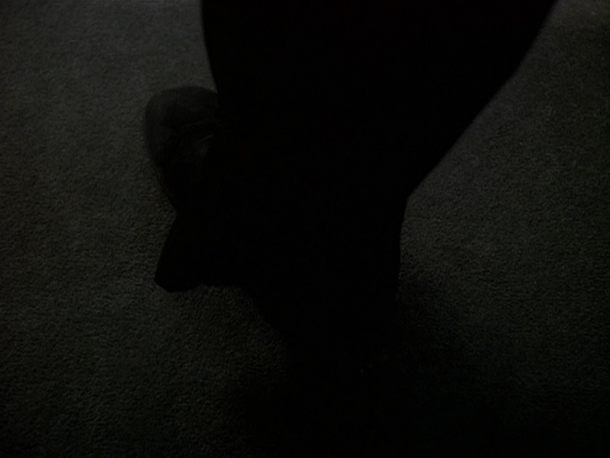 extant_StarTrek_DS9_5x15-ByInfernosLight_00977.jpg