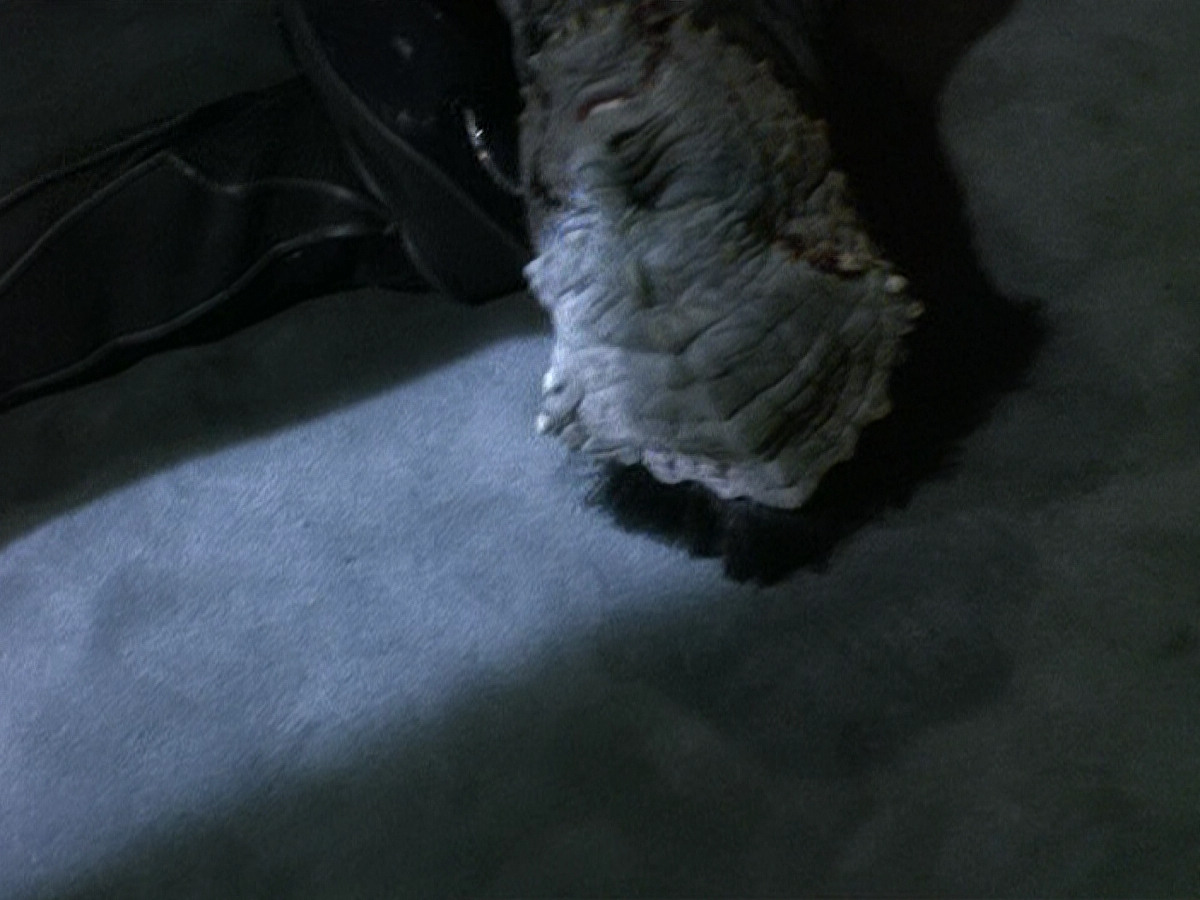 extant_StarTrek_DS9_5x15-ByInfernosLight_01640.jpg