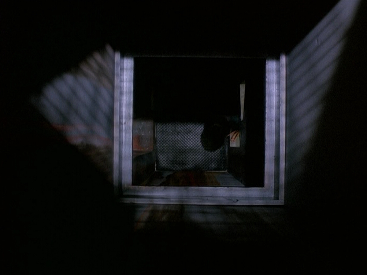 extant_StarTrek_DS9_5x15-ByInfernosLight_01886.jpg